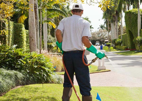 About Pineville AR Pest Control Pros